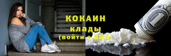 молекула духа Кулебаки