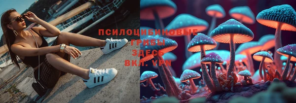 мдма Семикаракорск