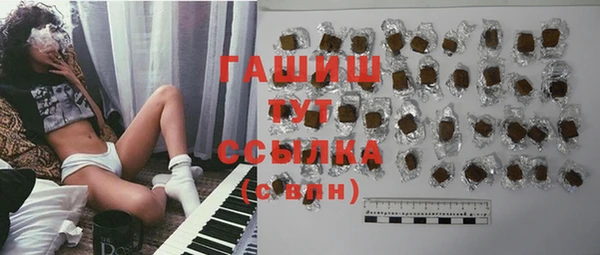 молекула духа Кулебаки