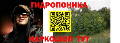 крисы Изобильный