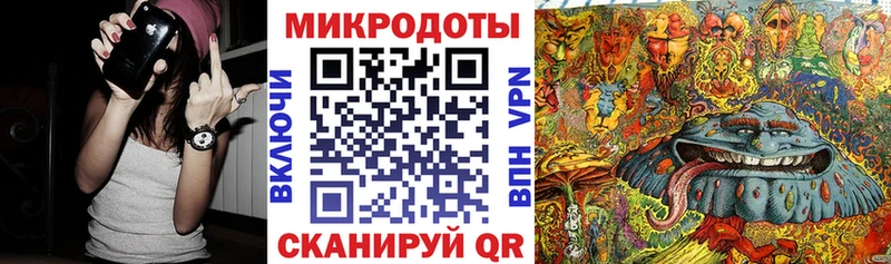 Галлюциногенные грибы Psilocybine cubensis  Сокол 