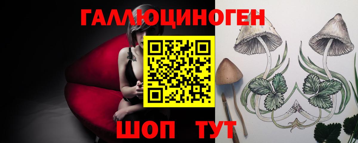 Галлюциногенные грибы Psilocybine cubensis  Галлюциногенные грибы Magic Shrooms  Сокол  где можно купить   Вход с VPN 