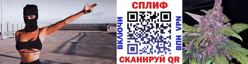 закладки Сокол Шишки марихуана сатива